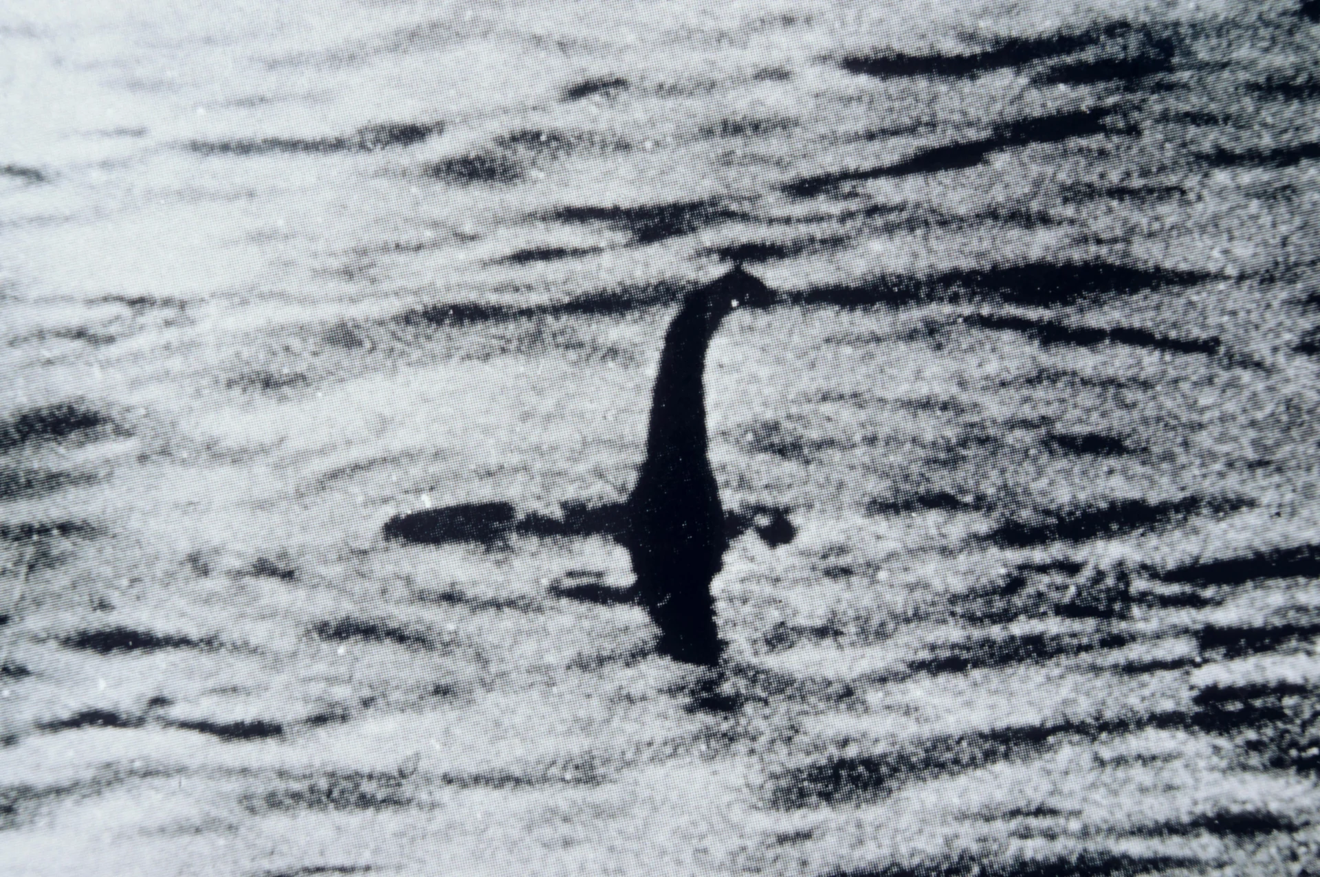 Тайна легендарного Лох-Несского чудовища: В Шотландии начали охоту