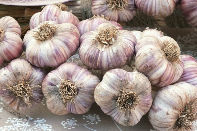 Как быстро избавиться от запаха чеснока изо рта: Назван секретный продукт