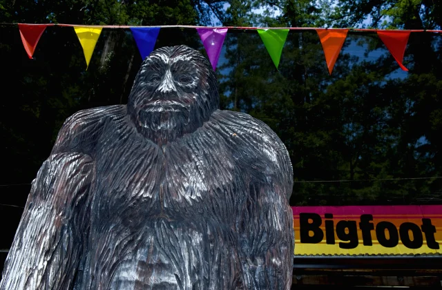 Снежный человек всё-таки существует? Появилось самое убедительное видеодоказательство